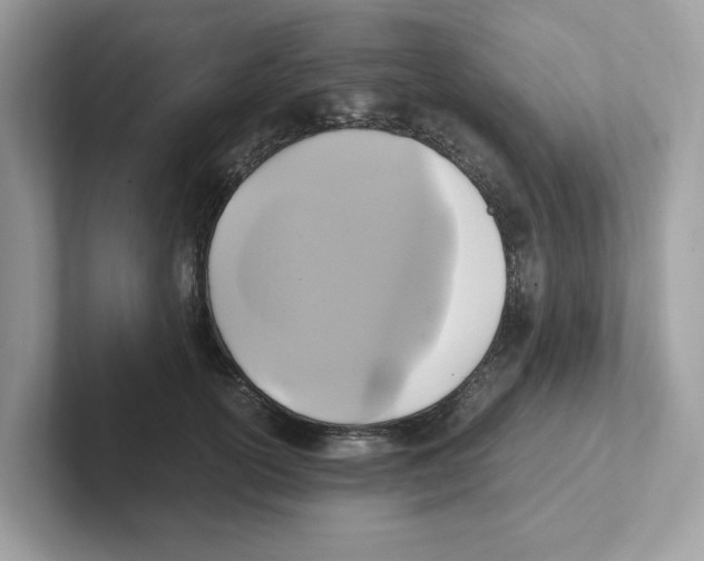 X0000100940754200807221157