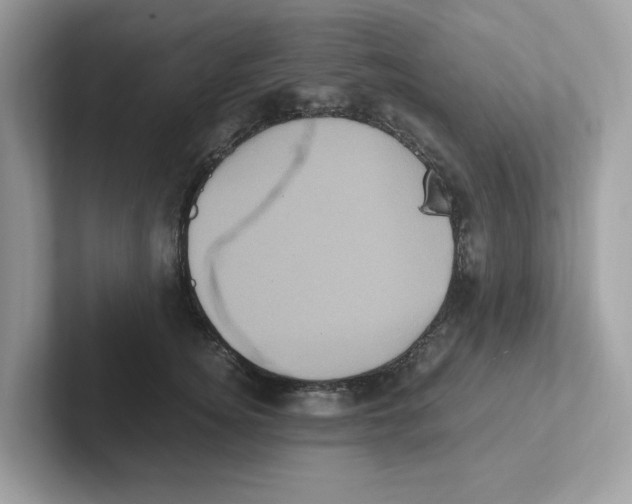 X0000100940756200807221157