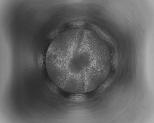 X0000100940758200807221157