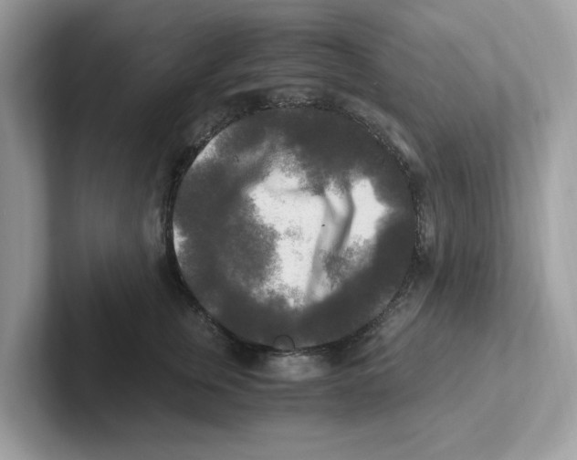 X0000100940759200807221157