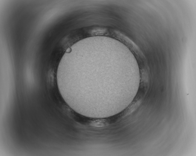 X0000100940761200807221157