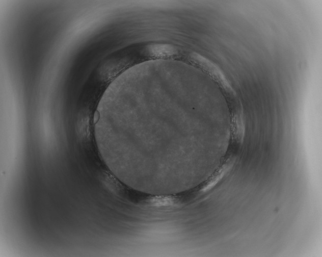 X0000100940762200807221157