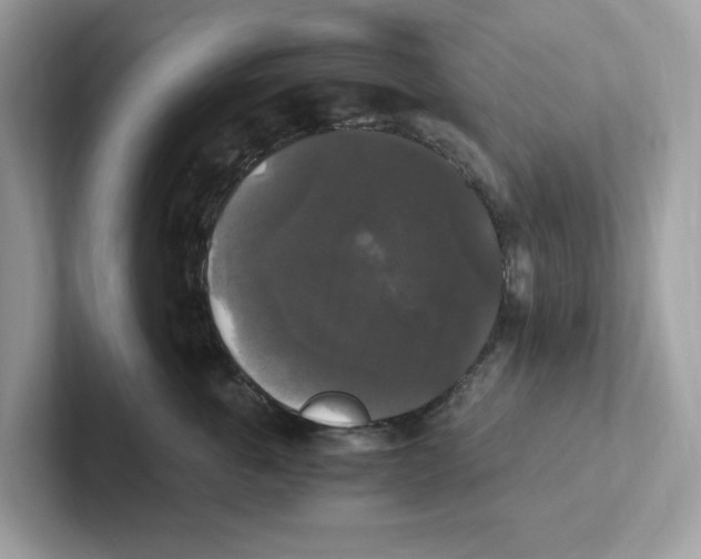 X0000100940763200807221157