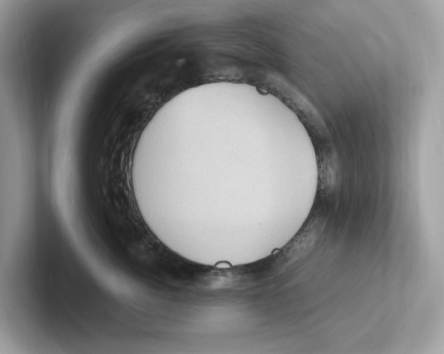 X0000100940764200807221157