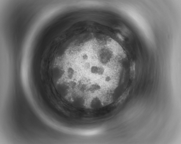 X0000100940765200807221157