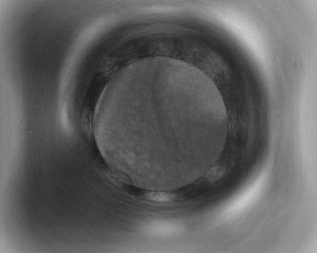 X0000100940766200807221157