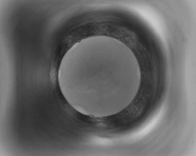 X0000100940767200807221157