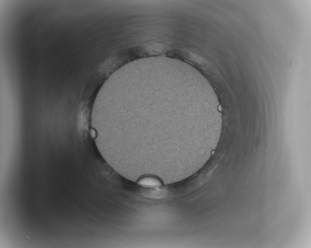 X0000100940768200807221157