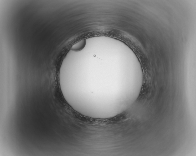 X0000100940773200807221156