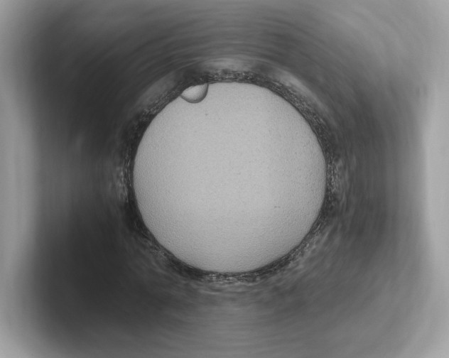 X0000100940774200807221156