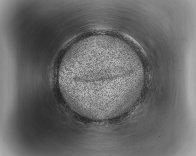 X0000100940775200807221156