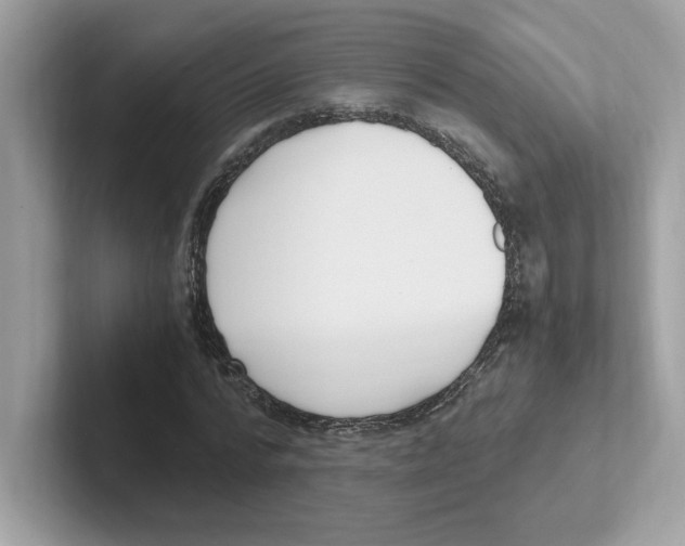 X0000100940776200807221156