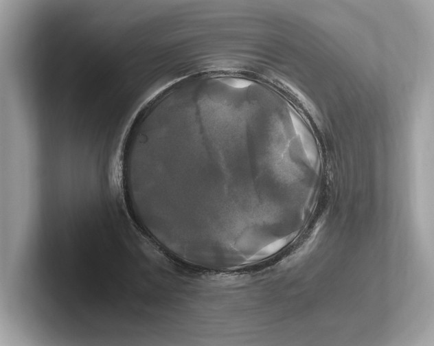 X0000100940779200807221156