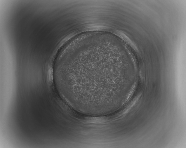 X0000100940781200807221156