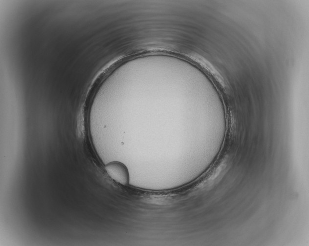 X0000100940782200807221156