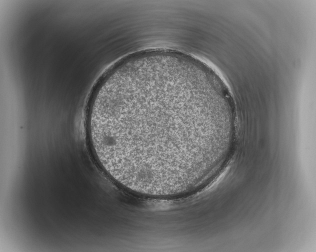 X0000100940783200807221156