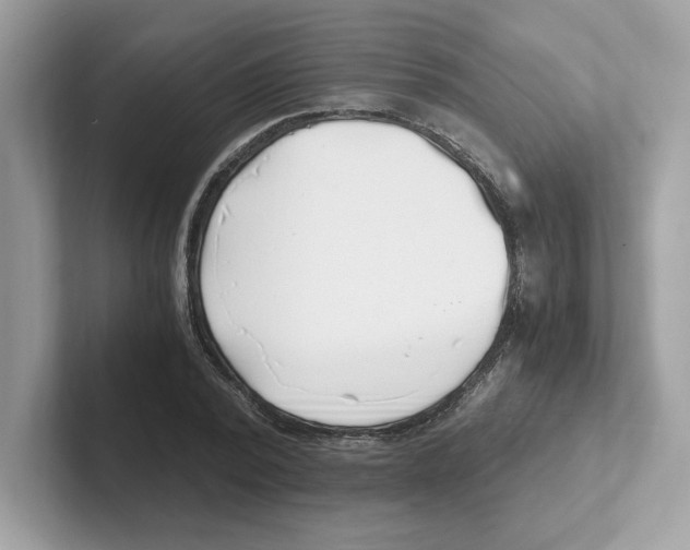 X0000100940784200807221156