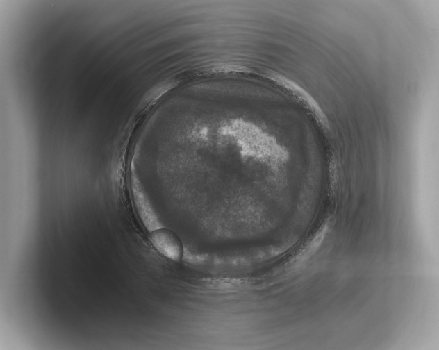 X0000100940785200807221156