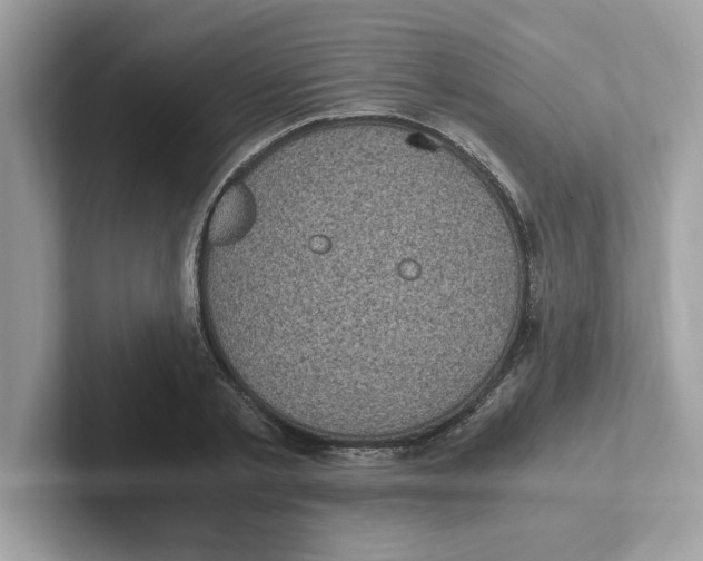 X0000100940789200807221156