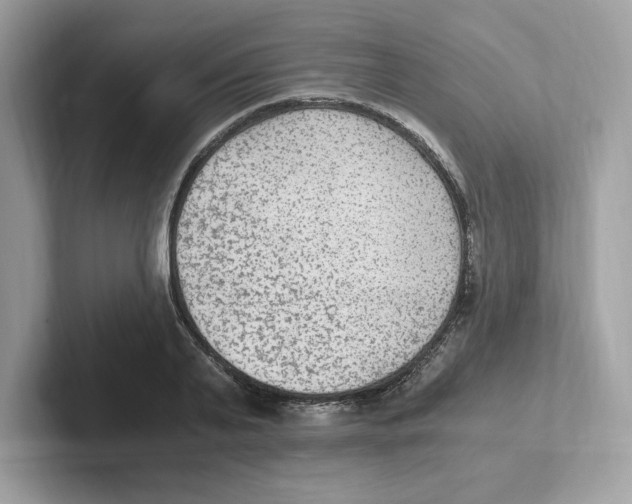 X0000100940791200807221156