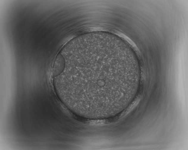 X0000100940793200807221156