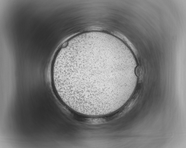 X0000100940795200807221156