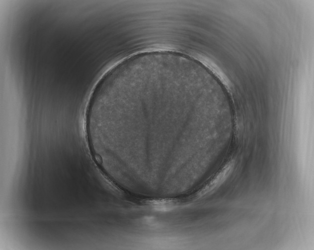 X0000100940797200807221156