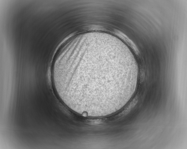 X0000100940798200807221156