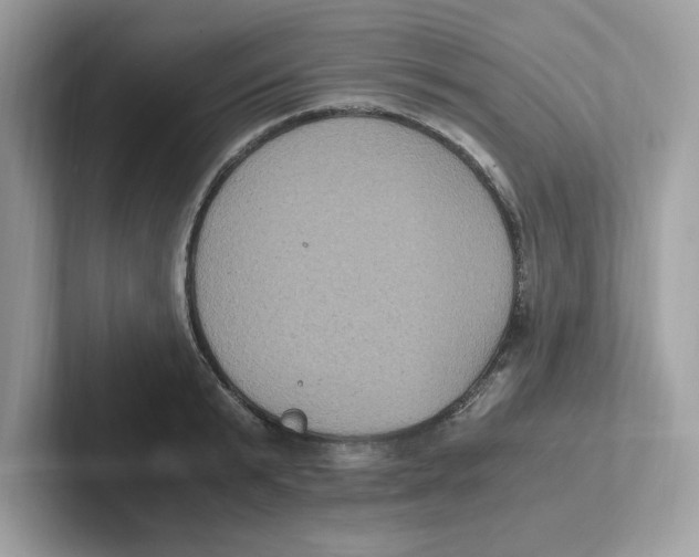 X0000100940799200807221156