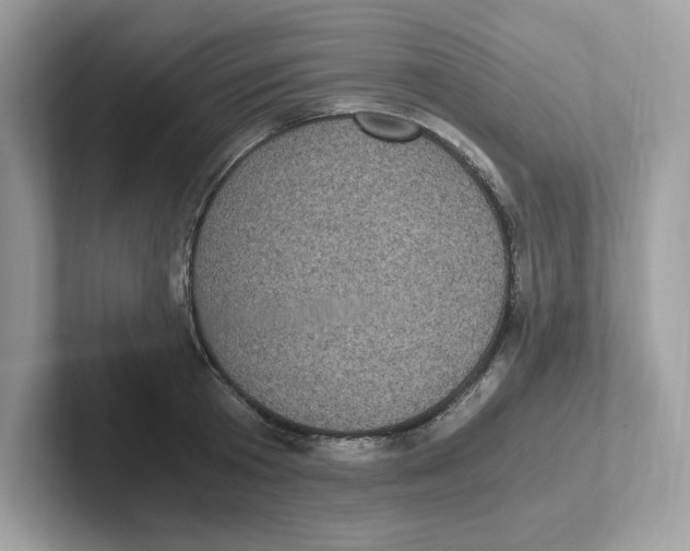 X0000100940801200807221156