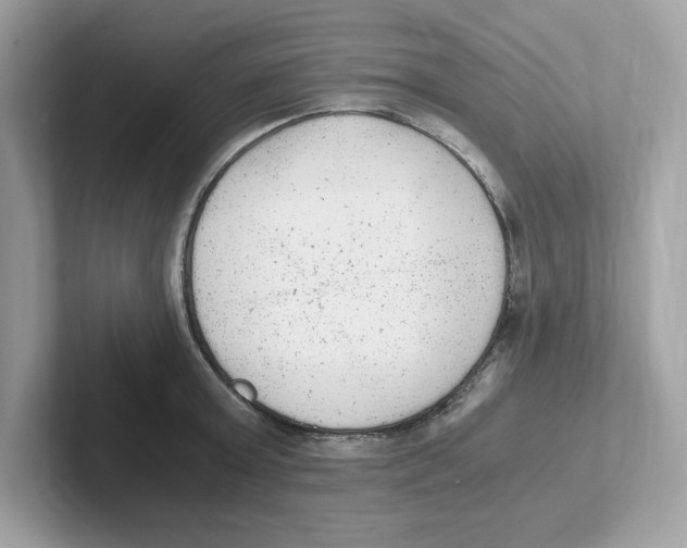 X0000100940803200807221156