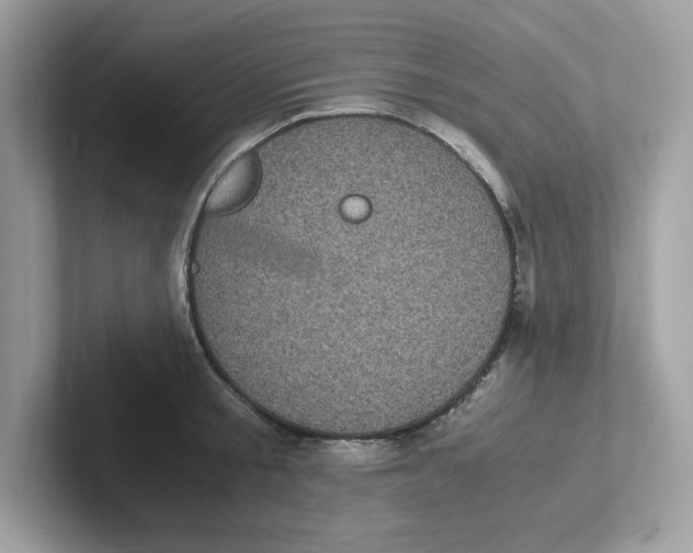 X0000100940805200807221156