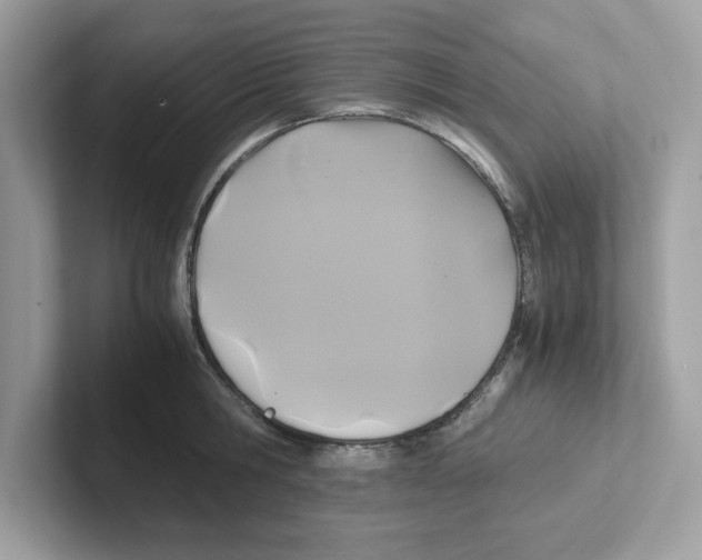 X0000100940806200807221156