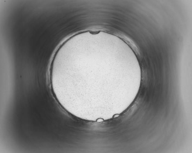 X0000100940808200807221156