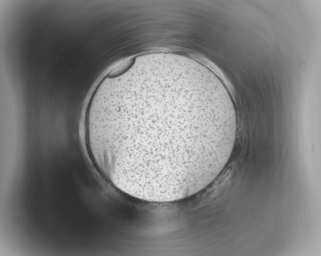 X0000100940811200807221156