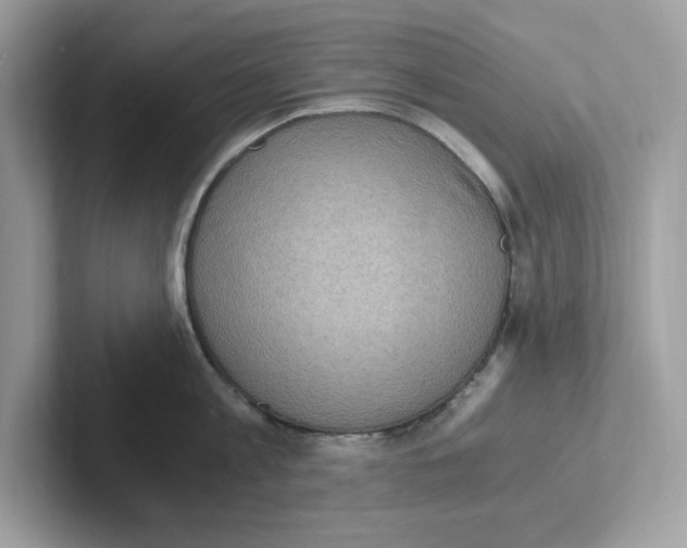 X0000100940813200807221156