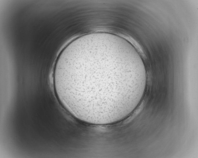 X0000100940814200807221156