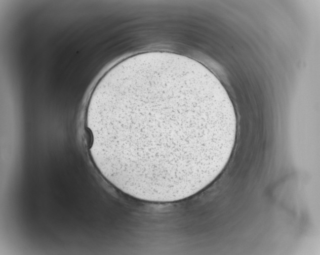 X0000100940816200807221156