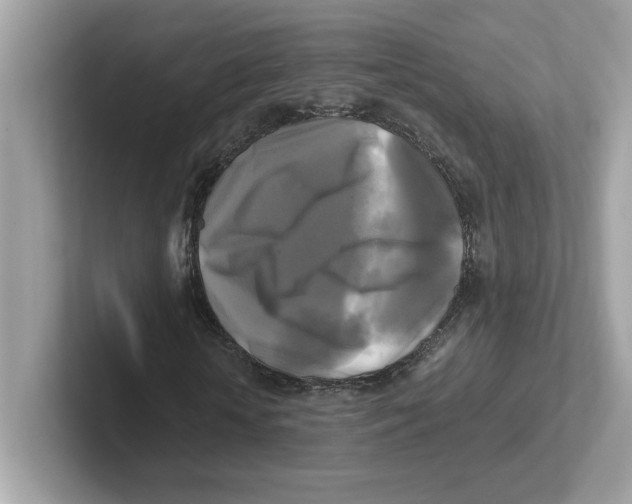 X0000100940818200807221155