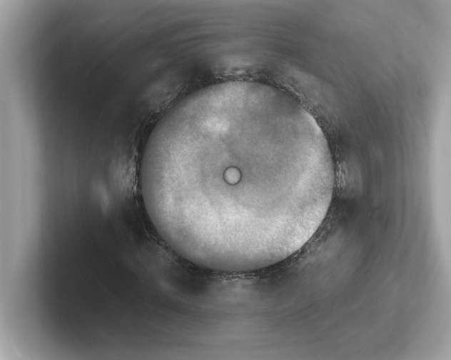 X0000100940820200807221155