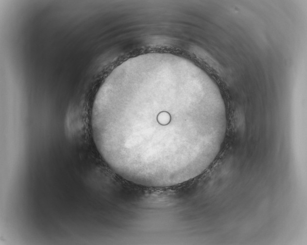 X0000100940824200807221155