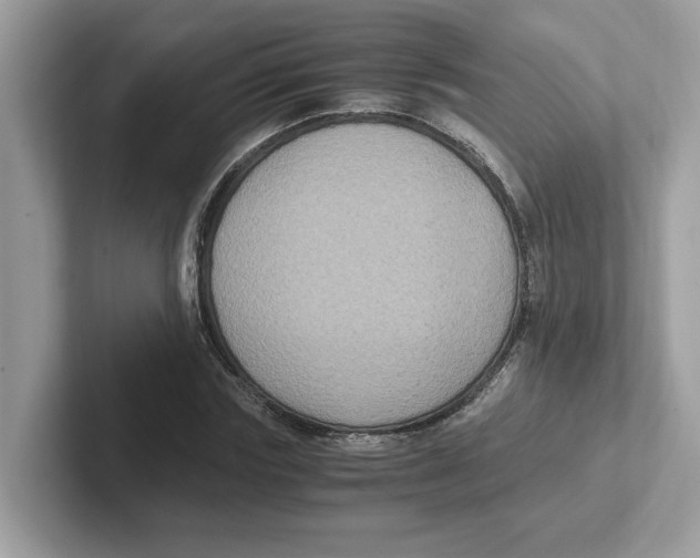 X0000100940827200807221155