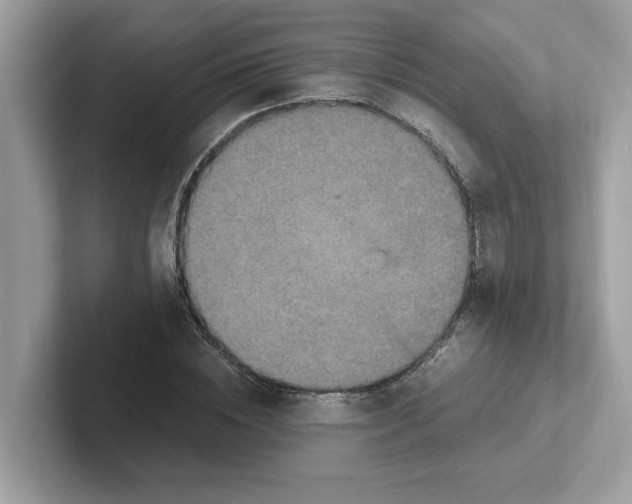 X0000100940828200807221155