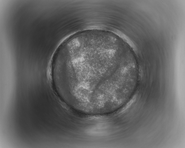 X0000100940830200807221155