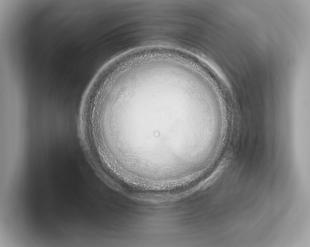 X0000100940832200807221156