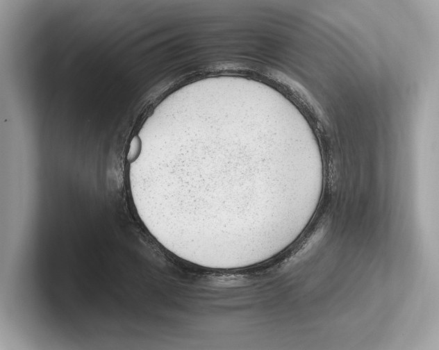 X0000100940833200807221156