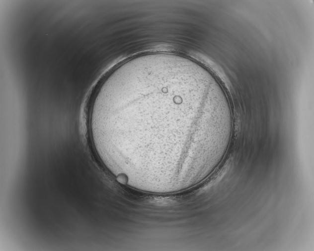 X0000100940835200807221156