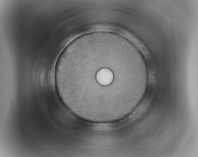 X0000100940836200807221156