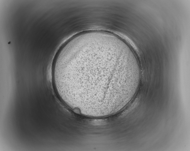 X0000100940839200807221156