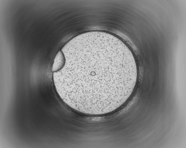 X0000100940841200807221156